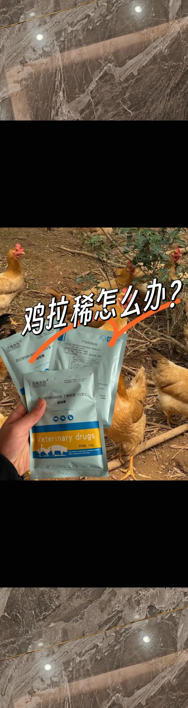 鸡腹水症怎么治？有哪些有效方法？-第2张图片-宁夏农业信息网