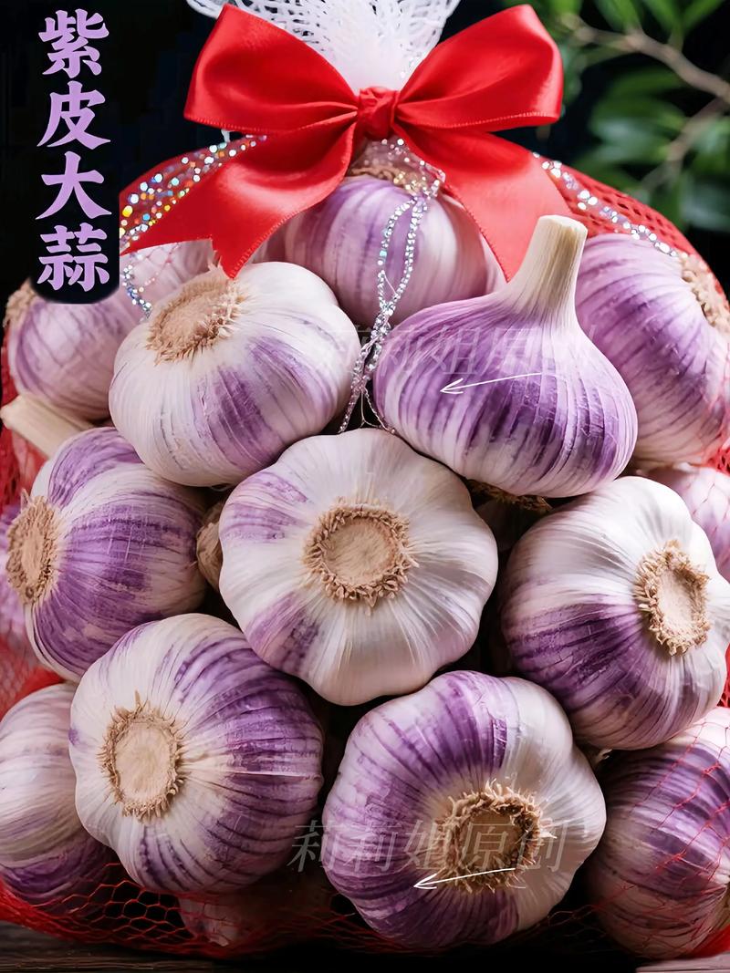 农科院最好的大蒜品种-第1张图片-宁夏农业信息网