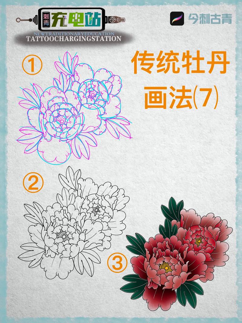 牡丹压条的方法示意图-第1张图片-宁夏农业信息网