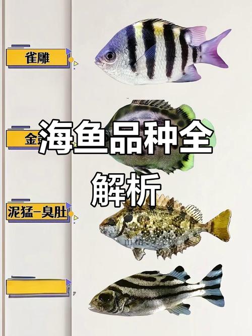 宁常见海水鱼养殖品种-第1张图片-宁夏农业信息网
