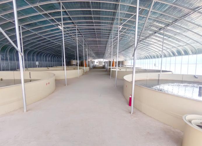 鼎巨大型水产养殖中心有何独特优势？-第1张图片-宁夏农业信息网