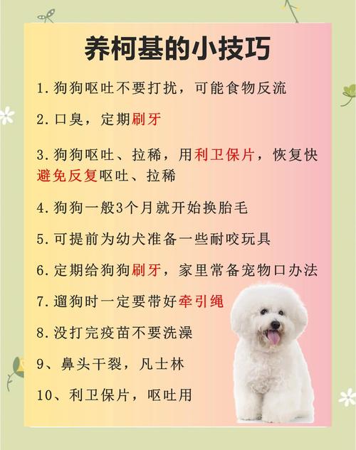 高效养肉狗有什么方法-第1张图片-宁夏农业信息网