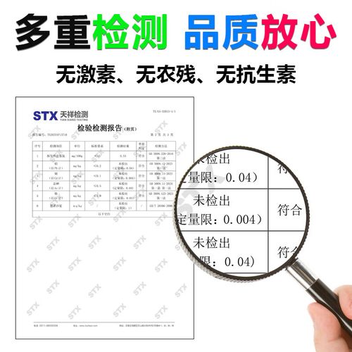 散养肉鸽选什么品种好？-第2张图片-宁夏农业信息网