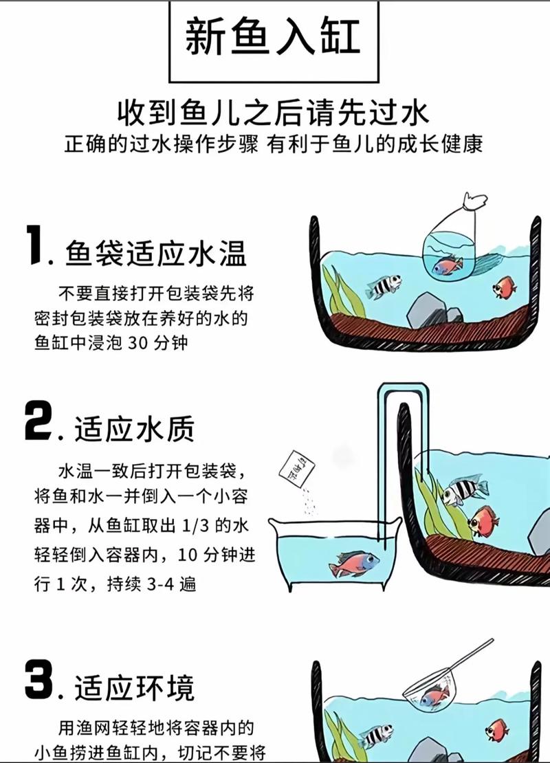 超市水产养殖要注意哪些事项？-第2张图片-宁夏农业信息网