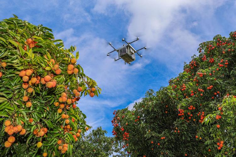 广州大型农用无人机有何应用优势？-第2张图片-宁夏农业信息网