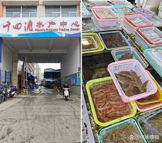 黄沙水产市场几点开门-第2张图片-宁夏农业信息网