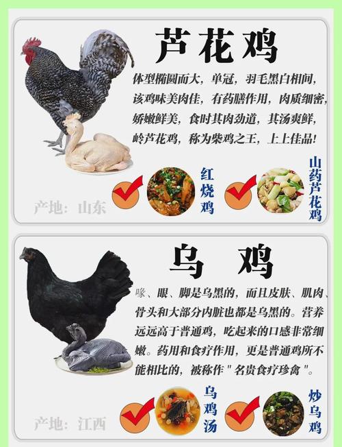 鸡不同品种能混养吗？-第1张图片-宁夏农业信息网