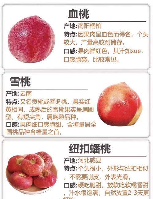 中桃5号有何突出特点？-第1张图片-宁夏农业信息网