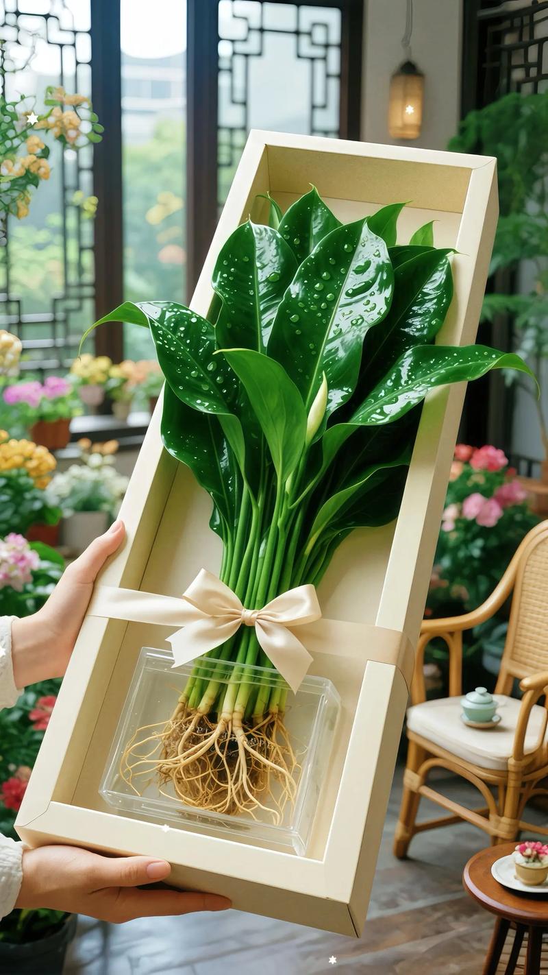 哪些盆栽品种最有价值？-第1张图片-宁夏农业信息网