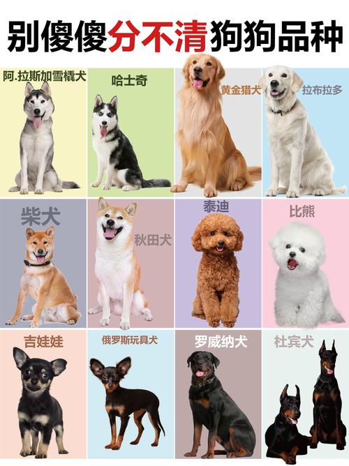 杂交品种名称到底有多少种？-第1张图片-宁夏农业信息网