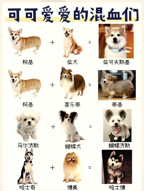 杂交品种名称到底有多少种？-第2张图片-宁夏农业信息网