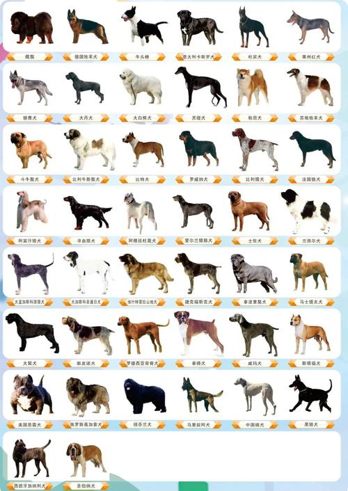 杂交品种名称到底有多少种？-第3张图片-宁夏农业信息网