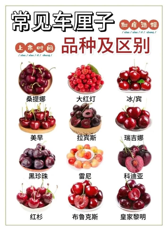 哪些樱桃品种最早熟？-第2张图片-宁夏农业信息网