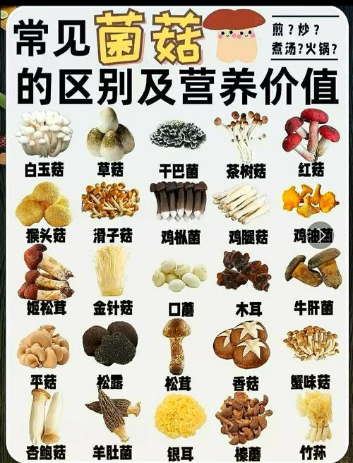 搞种植蘑菇什么品种好-第2张图片-宁夏农业信息网