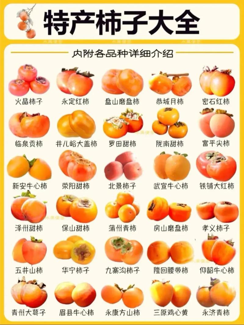 水果品种哪个最好？-第3张图片-宁夏农业信息网