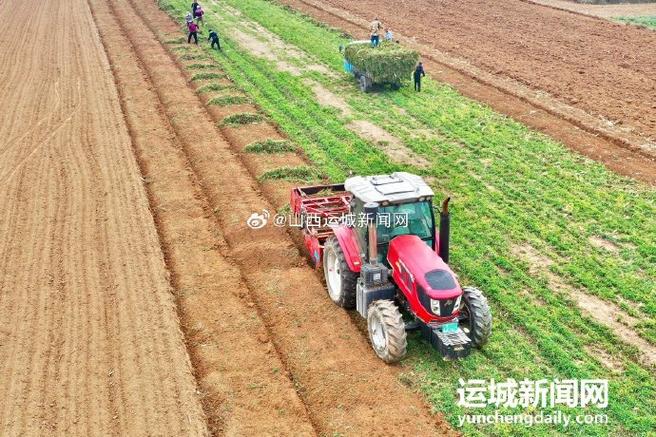 山西平陆农用机械有哪些优势？-第1张图片-宁夏农业信息网