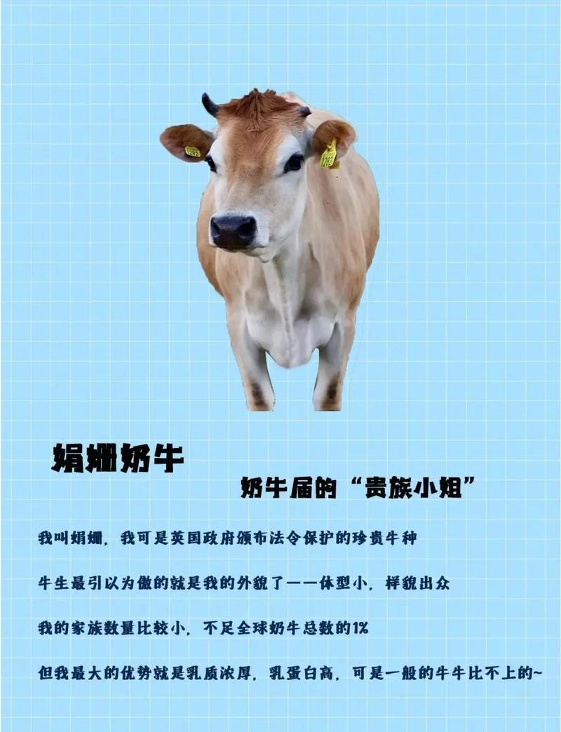 奶牛品种排名如何？-第1张图片-宁夏农业信息网