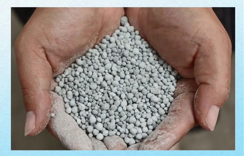 过氧化钙如何在水产养殖中应用？-第2张图片-宁夏农业信息网