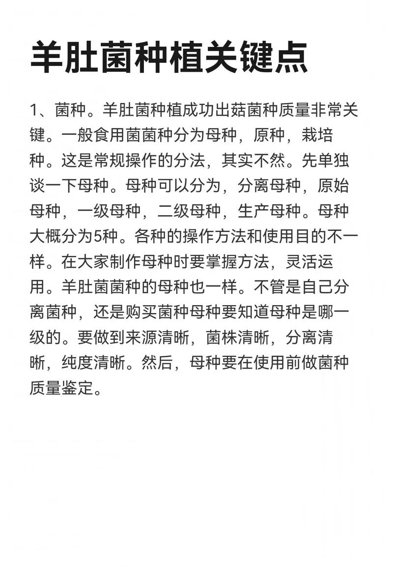 人工栽培羊肚菌的方法有哪些？-第1张图片-宁夏农业信息网