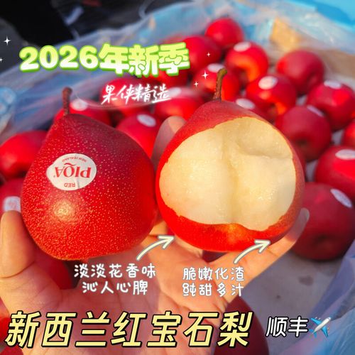 红色梨是什么品种？-第2张图片-宁夏农业信息网