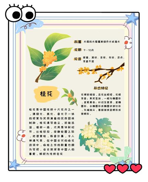 桂花究竟有多少品种？-第3张图片-宁夏农业信息网