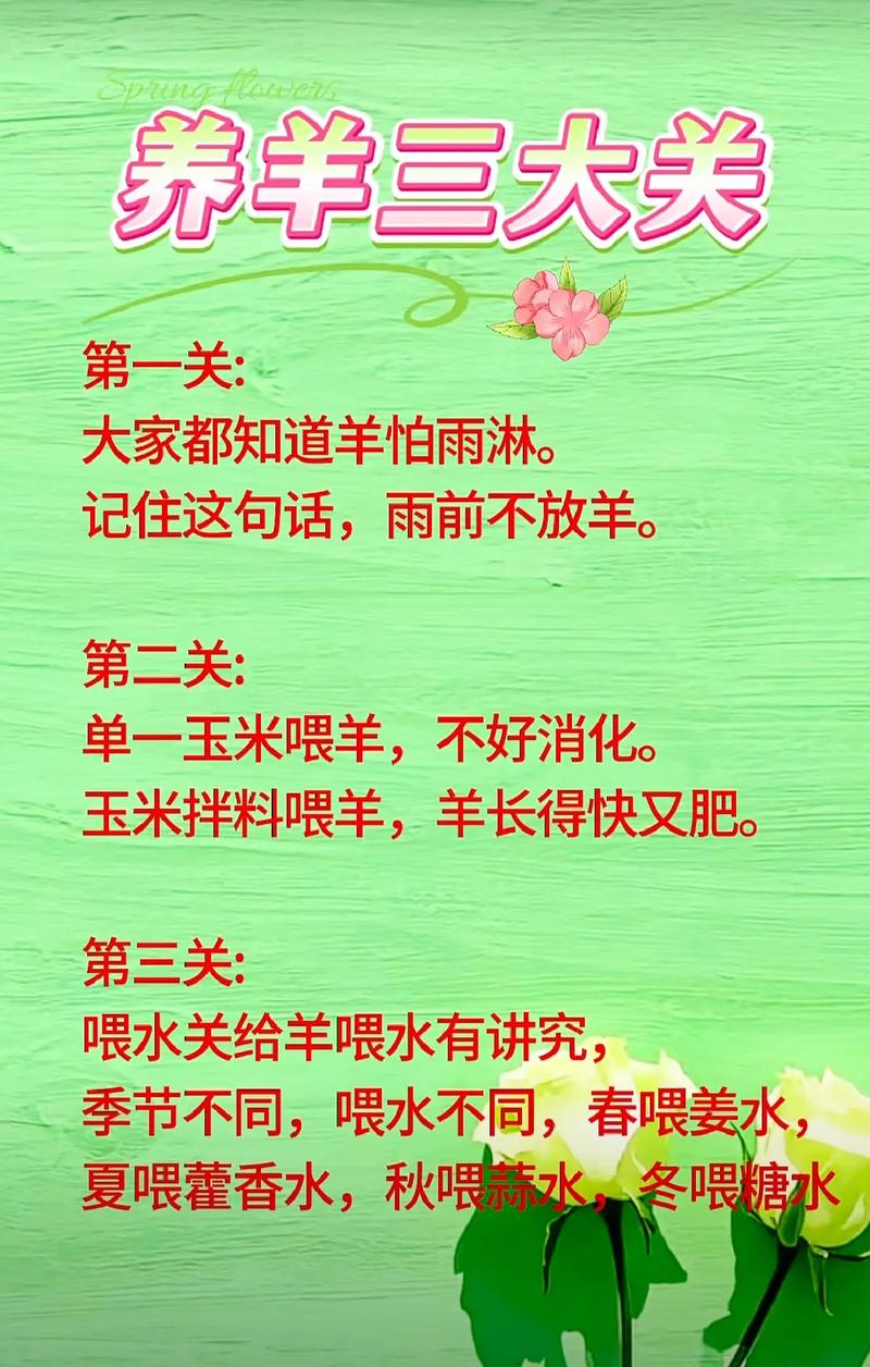 养羊最佳方法技术有哪些要点？-第3张图片-宁夏农业信息网