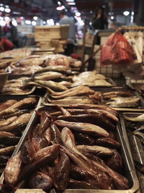 大连长兴水产批发市场怎么样？-第2张图片-宁夏农业信息网