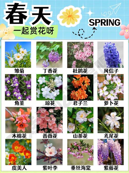 花草品种名称与数目知多少？-第1张图片-宁夏农业信息网