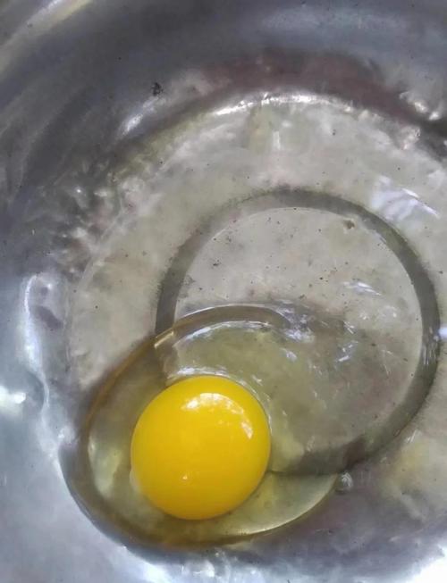 哪种蛋鸡品种产蛋量最高？-第2张图片-宁夏农业信息网