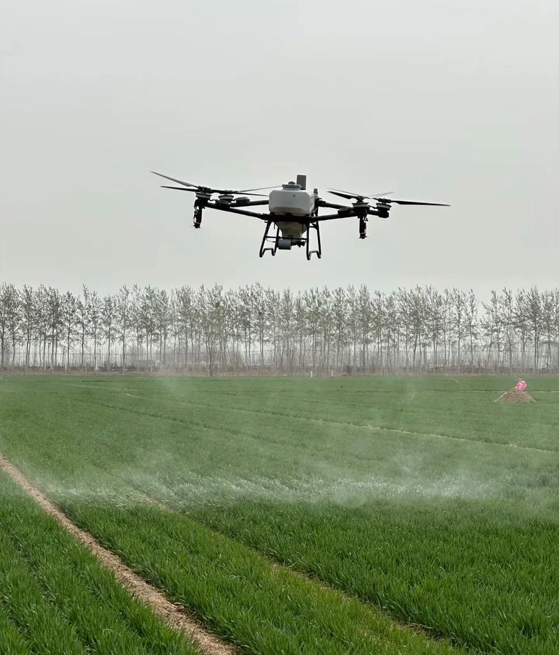 农用植保无人机论坛聚焦哪些前沿议题？-第1张图片-宁夏农业信息网