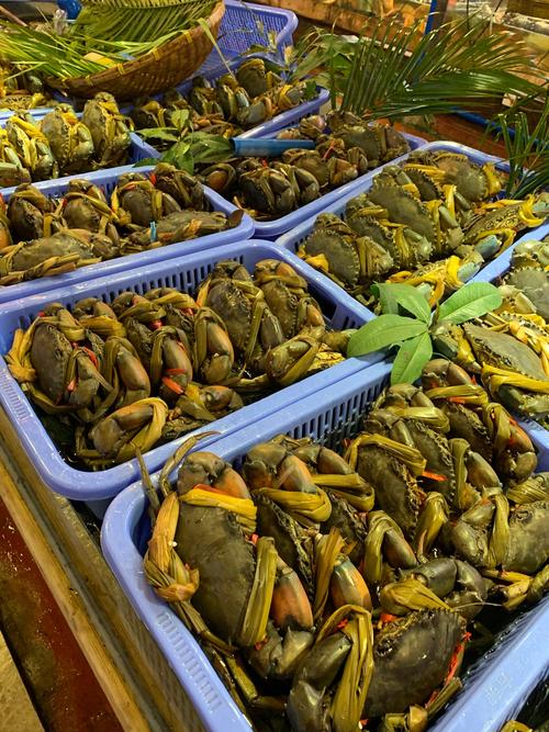 昆明水产品批发市场最新行情如何？-第1张图片-宁夏农业信息网