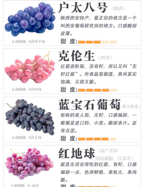 无核早红葡萄，有哪些独特之处？-第2张图片-宁夏农业信息网