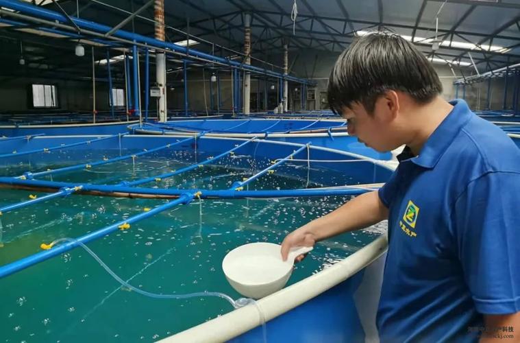 中正水产科技有何核心技术优势？-第1张图片-宁夏农业信息网