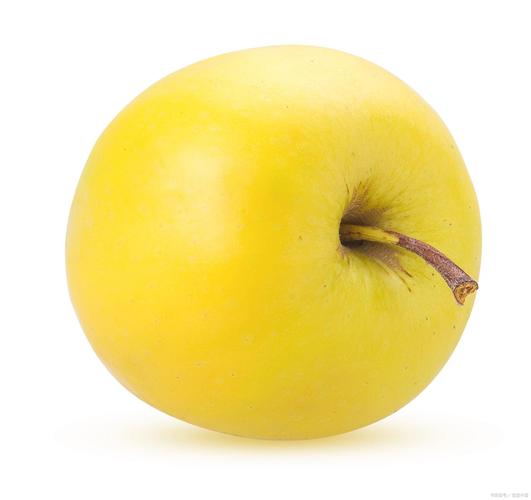 黄皮苹果是什么品种？-第3张图片-宁夏农业信息网