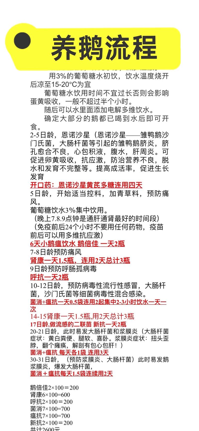 鹅苗饲养管理要注意哪些要点？-第3张图片-宁夏农业信息网