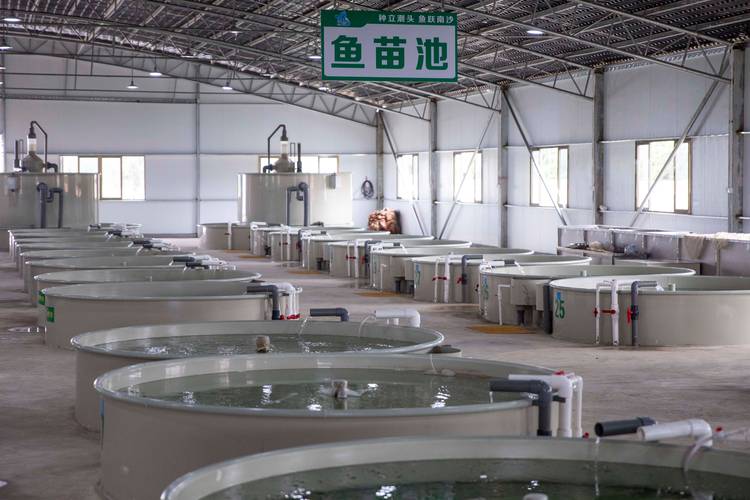 金洋水产养殖有限公司怎么样？-第3张图片-宁夏农业信息网