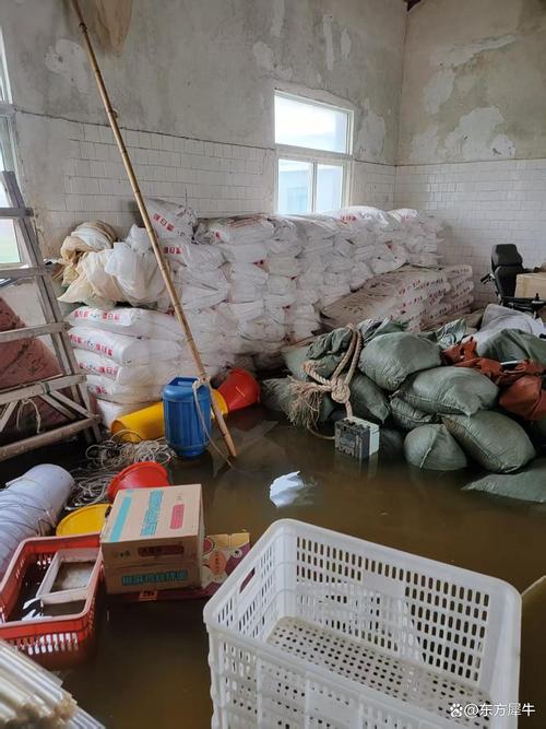 金洋水产养殖有限公司怎么样？-第1张图片-宁夏农业信息网