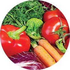 上海泓宝绿色水产科技有何创新？-第1张图片-宁夏农业信息网