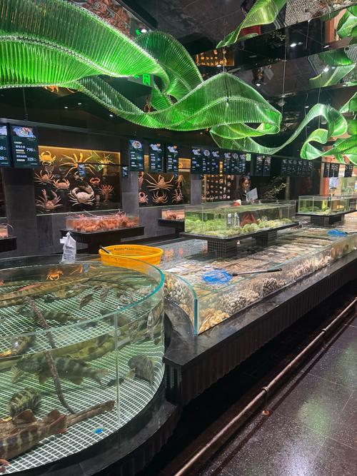 大连泰阳水产有限公司怎么样?-第3张图片-宁夏农业信息网 大连泰阳水产有限公司怎么样?-第3张图片-宁夏农业信息网