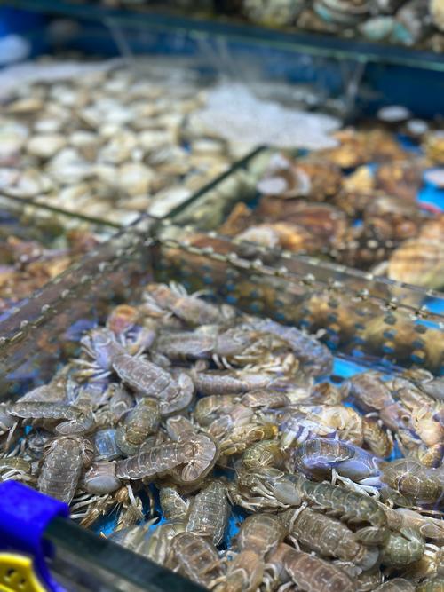 泰州水产批发市场行情如何？-第2张图片-宁夏农业信息网