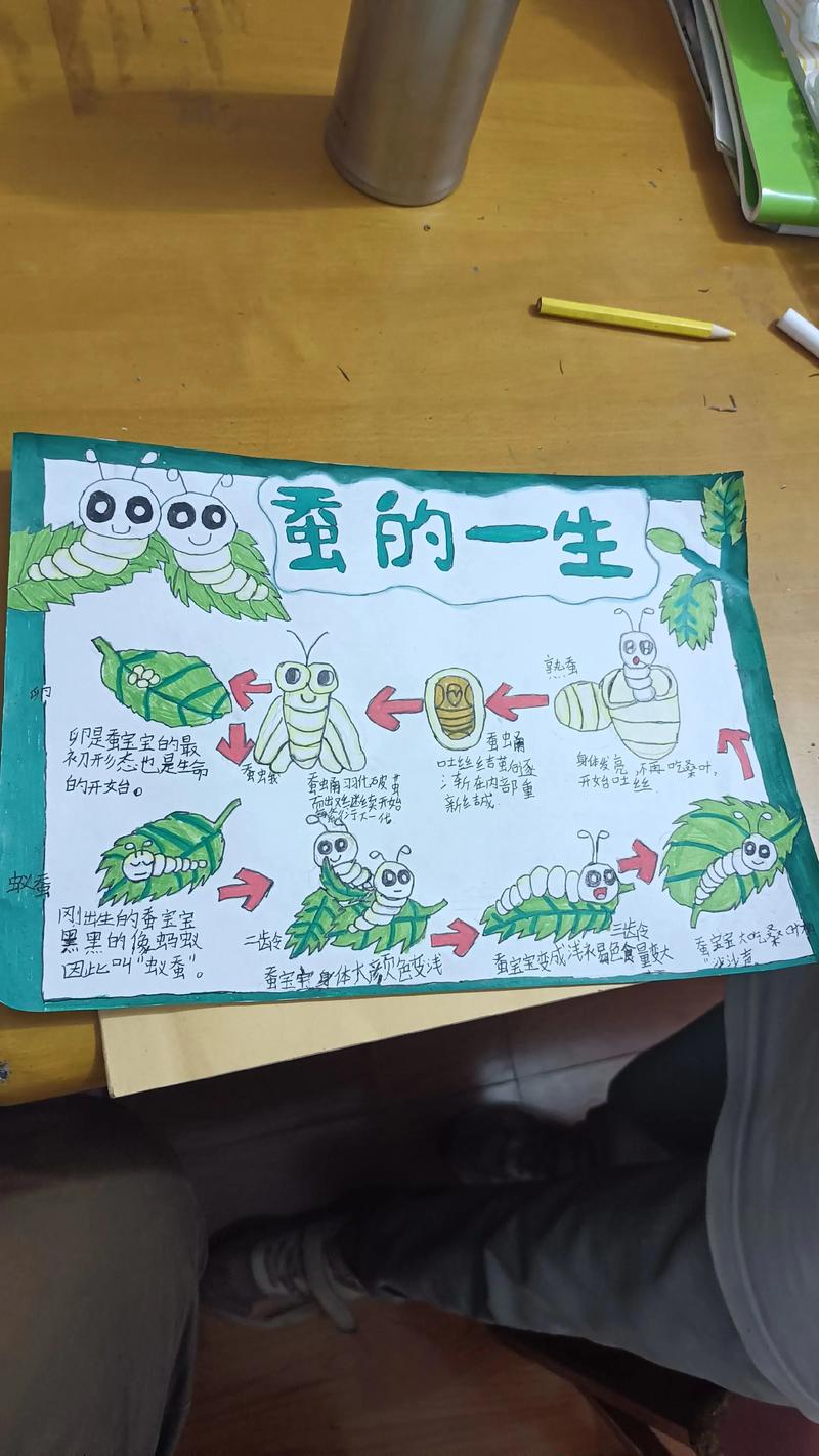 农业科技如何优化蚕的喂养方法？-第1张图片-宁夏农业信息网