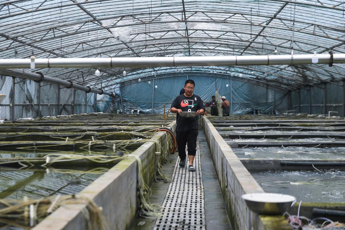 湖州水产养殖合作社如何助力渔民增收？-第1张图片-宁夏农业信息网