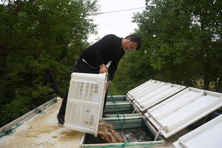 湖州水产养殖合作社如何助力渔民增收？-第2张图片-宁夏农业信息网