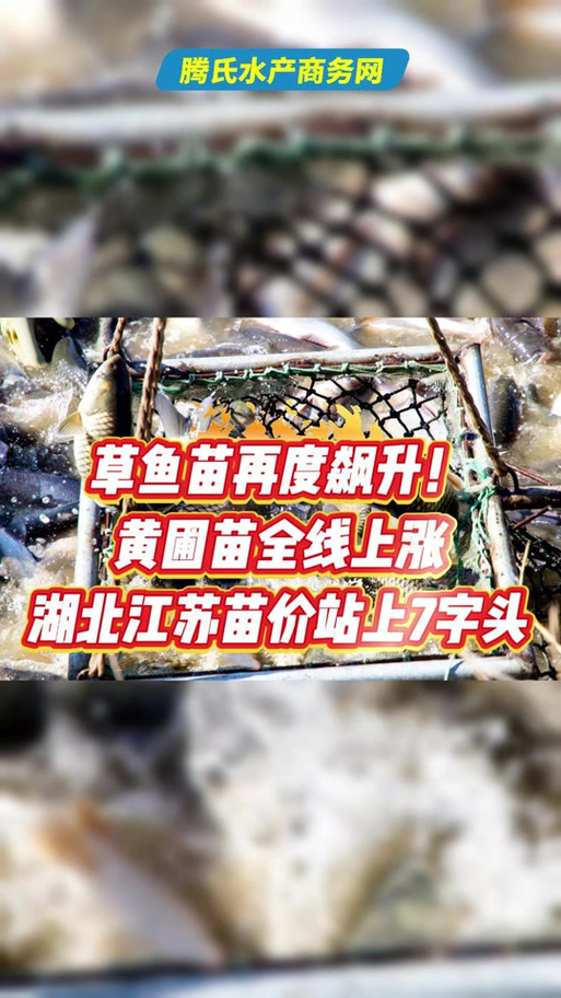 湖北水产苗种管理办法有何新变化？-第1张图片-宁夏农业信息网