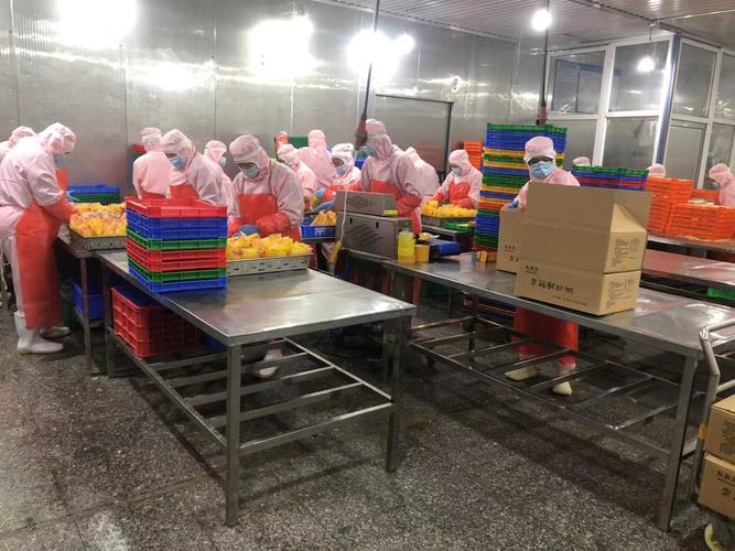 深圳水产公司招聘什么岗位？-第3张图片-宁夏农业信息网