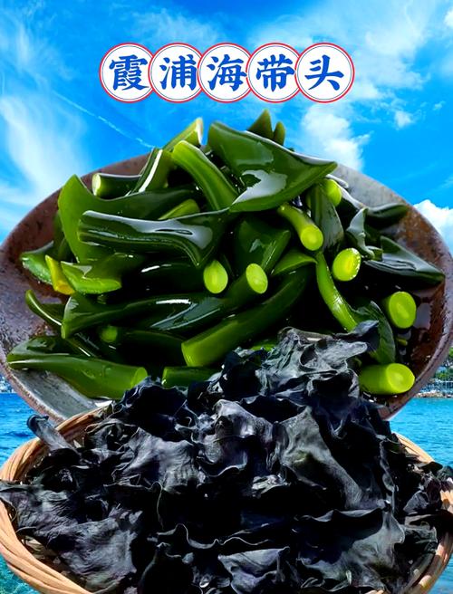 浙江海域海带养殖品种有哪些？-第3张图片-宁夏农业信息网