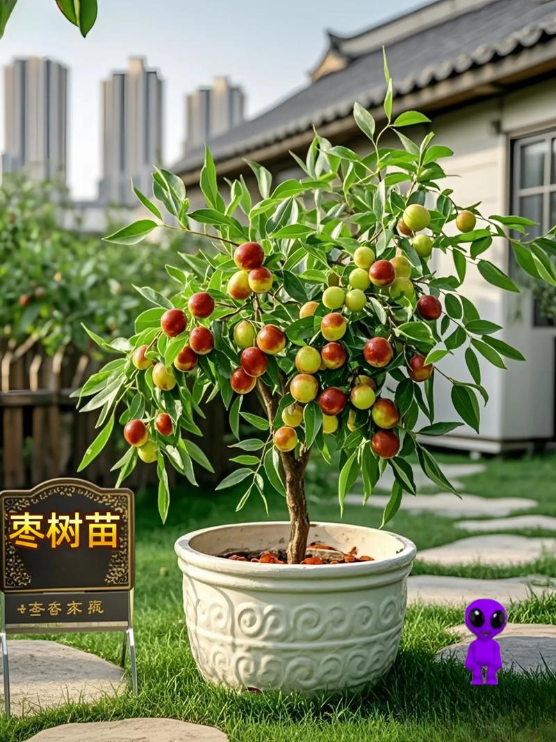 哪种果树品种种植效益最高？-第3张图片-宁夏农业信息网