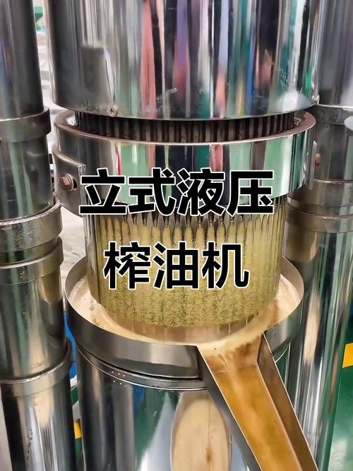 农用榨油机如何优化设计提升效率？-第1张图片-宁夏农业信息网