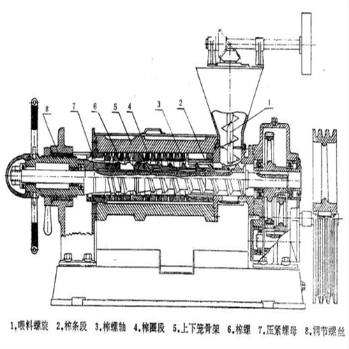 农用榨油机如何优化设计提升效率？-第2张图片-宁夏农业信息网