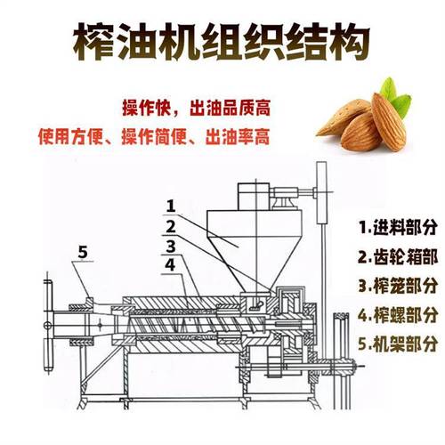 农用榨油机如何优化设计提升效率？-第3张图片-宁夏农业信息网